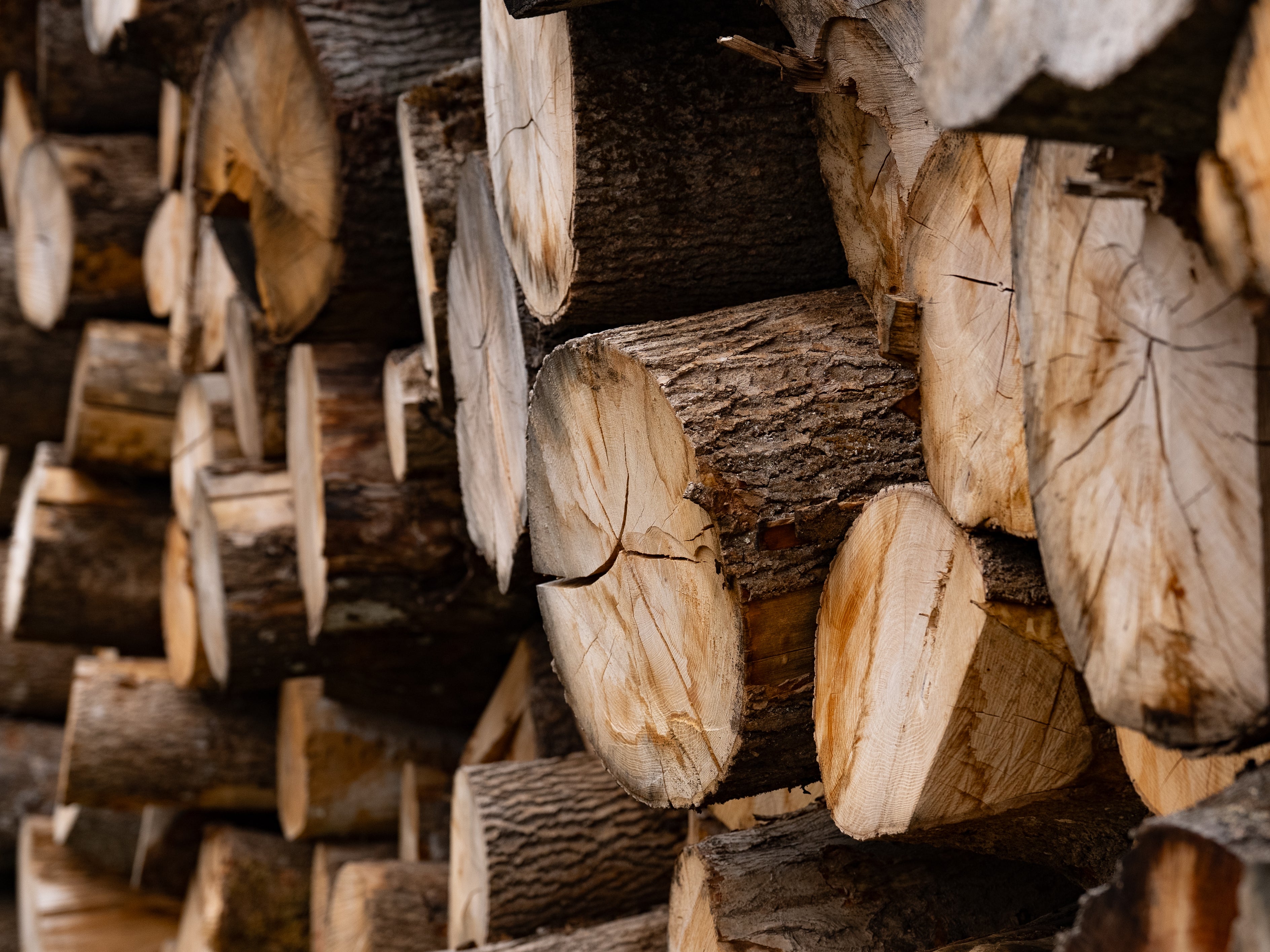 What logs should I choose?